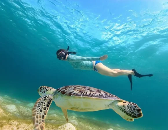 Abu Dabbab Marsa Alam: Snorkeling with Turtles & Beach Day Trip from Hurghada