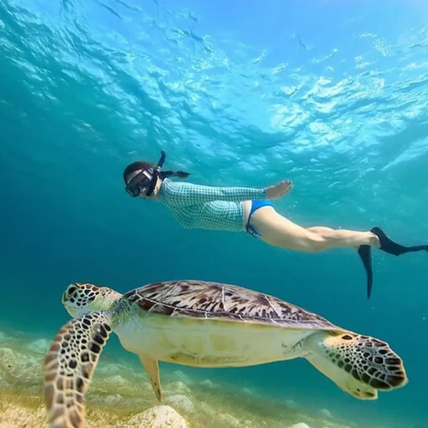 Abu Dabbab Marsa Alam: Snorkeling with Turtles & Beach Day Trip from Hurghada