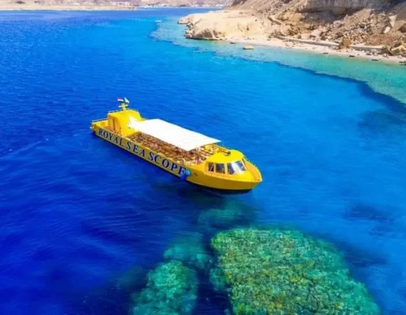 Royal seascope