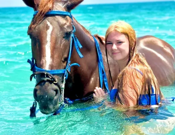 Horseback Riding Hurghada - 2-Hour Desert & Sea Swim Experience