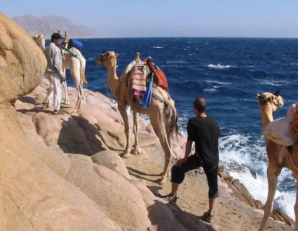 Safari Marsa Alam 3