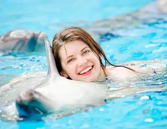 Swimming with Dolphins in Hurghada | Private Dolphin Swim Egypt