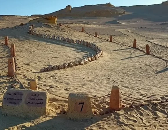 Fayoum Oasis Tour 5
