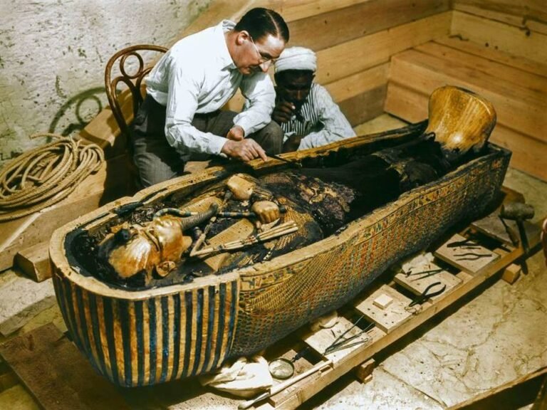 Egypt Tour