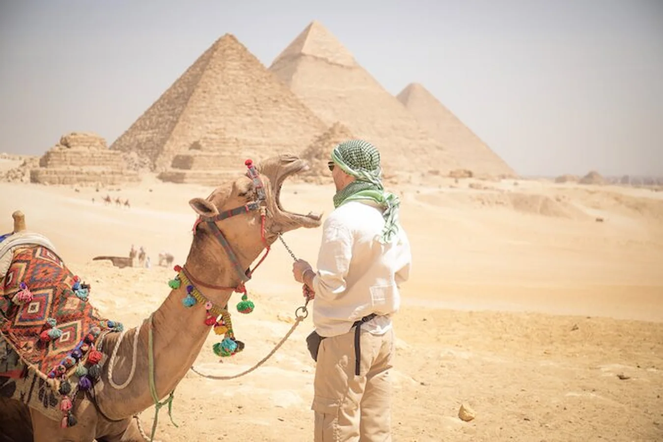 Cultural Tours