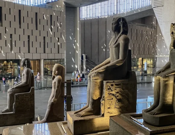 grand egyptian museum private tour 5