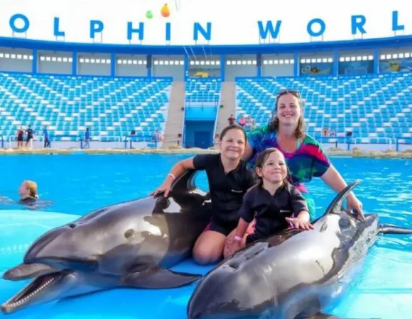 Dolphin show Hurghada Egypt