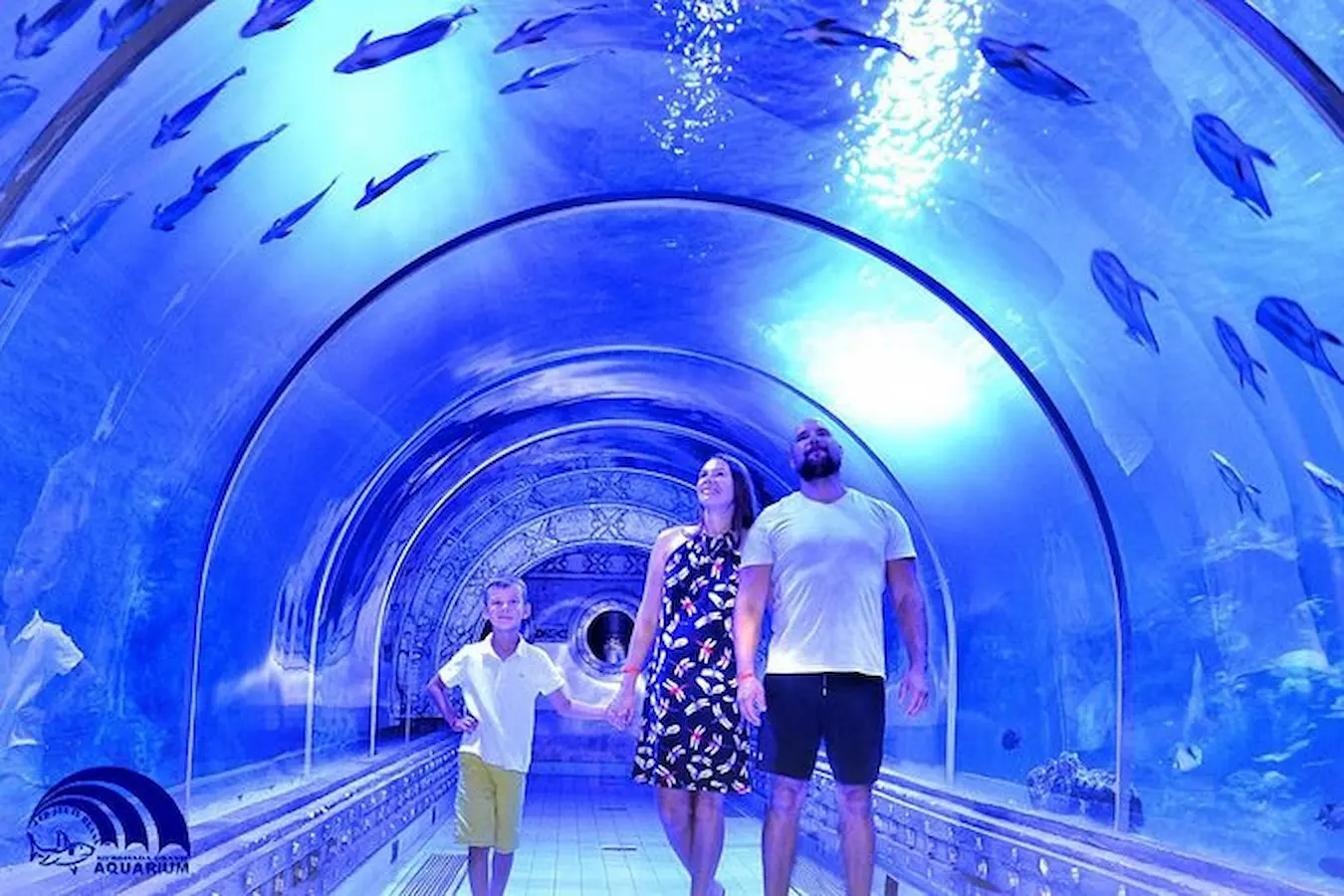 Grand Aquarium Hurghada: Skip-the-Line Entry & Shark Tunnel Experience