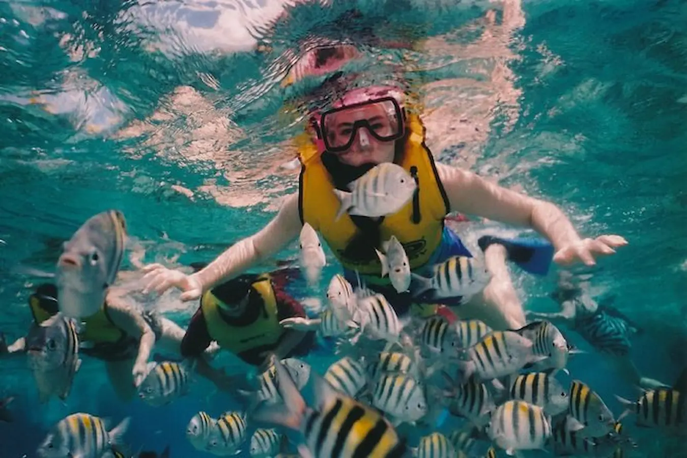 Sharm El Naga Snorkeling Day Trip: Beach-Entry Reefs & Sunken Ship