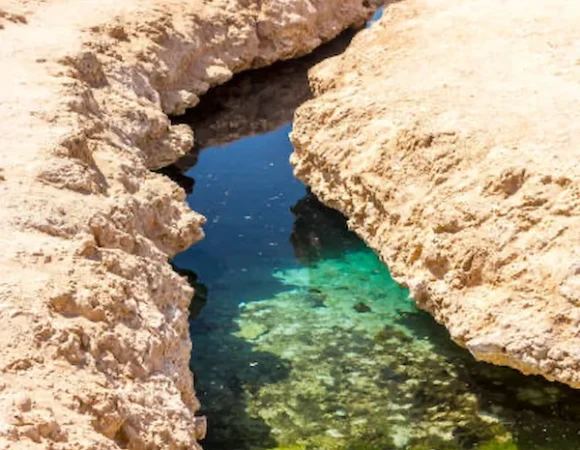 Siwa Oasis tour