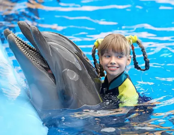 Swimming with Dolphins 7