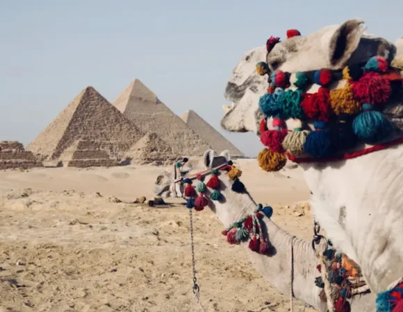 Tour to Cairo from Hurghada
