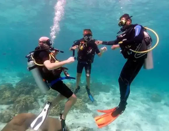 diving in Egypt