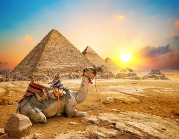 private tour to Grand Egyptian Museum